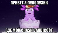 привет я лунопузик где мой crash bandicoot