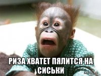  риза хватет пялится на сиськи