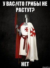 у вас что грибы не растут? нет