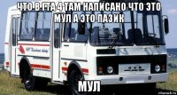 что в гта 4 там написано что это мул а это пазик мул