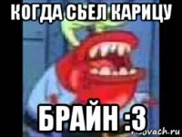 когда сьел карицу брайн :3