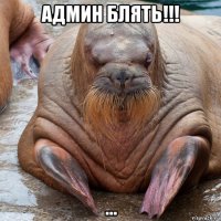 админ блять!!! ...