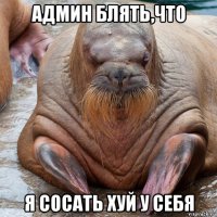 админ блять,что я сосать хуй у себя