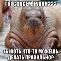 ты совсем тупой??? ты хоть что-то можешь делать правильно?