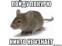 пойду покурю никто не узнает
