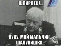 шлирлец!... куку, мой мальчик... шалунишка...