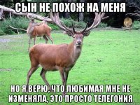 сын не похож на меня но я верю, что любимая мне не изменяла, это просто телегония
