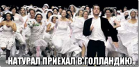  натурал приехал в голландию