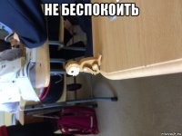 не беспокоить 