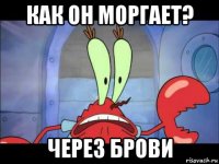 как он моргает? через брови