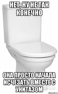 нет, ну не так конечно она просто начала исчезать вместе с унитазом