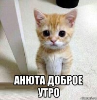  анюта доброе утро