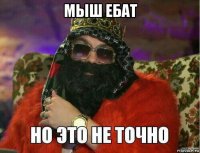 мыш ебат 