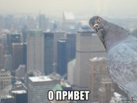  о привет