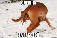 олешка за работой
