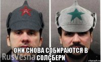  они снова собираются в солсбери