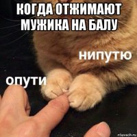 когда отжимают мужика на балу 
