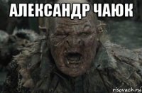 александр чаюк 