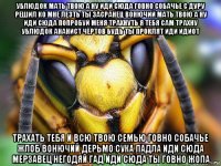 ублюдок мать твою а ну иди сюда говно собачье с дуру решил ко мне лезть ты засранец вонючий мать твою а ну иди сюда попробуй меня трахнуть я тебя сам трахну ублюдок ананист чёртов будь ты проклят иди идиот трахать тебя и всю твою семью говно собачье жлоб вонючий дерьмо сука падла иди сюда мерзавец негодяй гад иди сюда ты говно жопа
