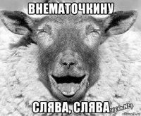 внематочкину слява, слява