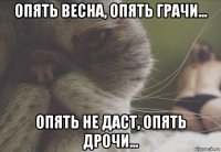 опять весна, опять грачи... опять не даст, опять дрочи...