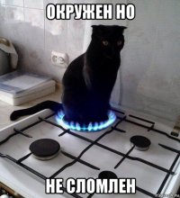 окружен но не сломлен