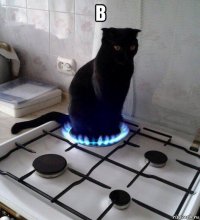 в 