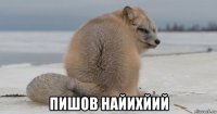  пишов найихйий