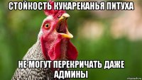 стойкость кукареканья питуха не могут перекричать даже админы