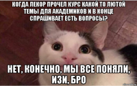 когда лекор прочел курс какой то лютой темы для академиков и в конце спрашивает есть вопросы? нет, конечно, мы все поняли, изи, бро