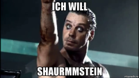ich will shaurmmstein
