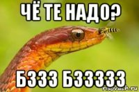 чё те надо? бззз бззззз
