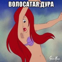 волосатая дура 