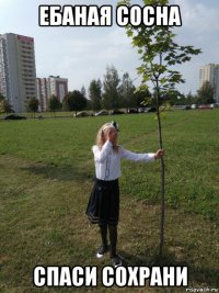 ебаная сосна спаси сохрани