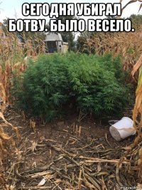 сегодня убирал ботву. было весело. 