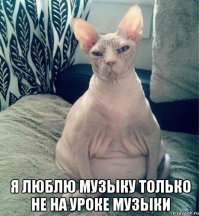  я люблю музыку только не на уроке музыки