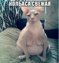 колбаса свежая 