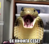  ох нифига себе!