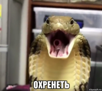  охренеть
