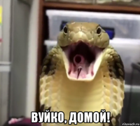  вуйко, домой!