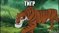 тигр 