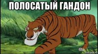 полосатый гандон 