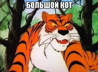 большой кот 
