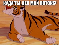 куда ты дел мой лоток!? 