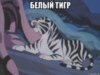белый тигр 
