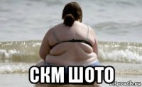  скм шото