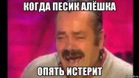 когда песик алёшка опять истерит