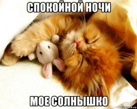спокойной ночи мое солнышко