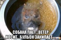  собака лает...ветер носит...бульон закипает....