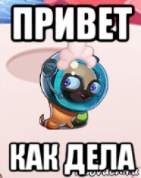 привет как дела